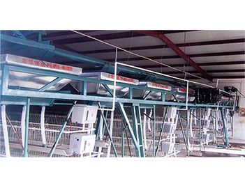 蛋、種雞自動給料機